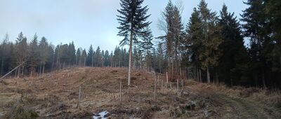 Groníček, sedlo, rozcestník ↔ Bahenec