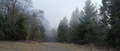 Groníček, sedlo, rozcestník ↔ Bahenec