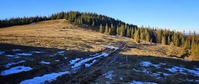 Przełęcz Buczynka ↔ Baza namiotowa Hala Górowa