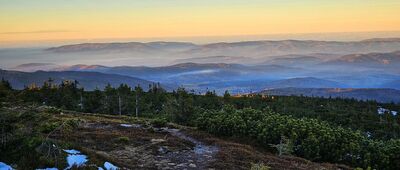 Góra Pięciu Kopców ↔ Las Suchowarski