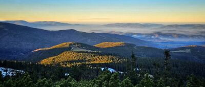 Hala Miziowa, wyciąg ↔ Hala Słowikowa