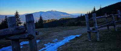 Schronisko PTTK Na Hali Miziowej ↔ Hala Miziowa, skrzyżowanie szlaków