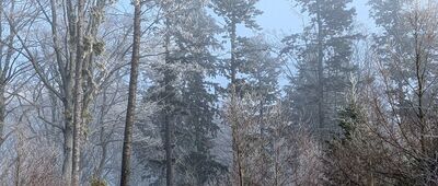 Turzec ↔ Pod Różanką