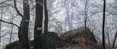 Płonina, skrzyżowanie ↔ Turzec [Turzec (poza szlakiem)]