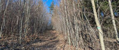 Janowice Wielkie, kościół ↔ Pod Różanką