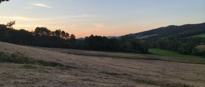 Pod Kiczerą ↔ Chatka Studencka w Zyndranowej