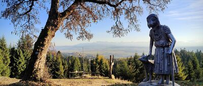 Koliba na Łapsowej Polanie [Koliba na Łapsowej Polanie (listopad 2025)]