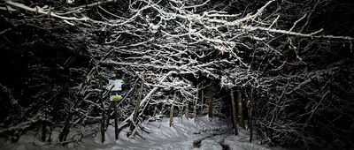 Pod Małym Groniem [Pod Małym Groniem (listopad 2025)]