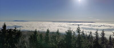 Kalenica [Widok na południe z wieży na Kalenicy]