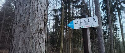 Rozejście szlaków ↔ Przełęcz pod Średnicą