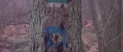 Bachotek, wiata ↔ Tama Brodzka