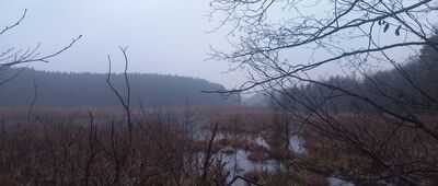 Bachotek, wiata ↔ Bachotek