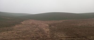 Bachotek ↔ Mariany