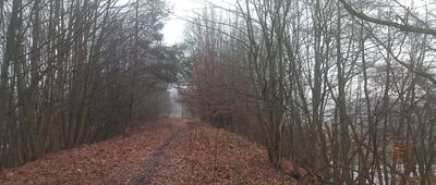 Mariany ↔ Rozejście szlaków