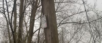 Rozejście szlaków ↔ Grążawy