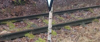 Rozejście szlaków ↔ Tama Brodzka