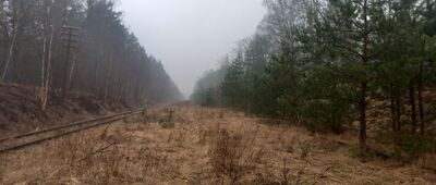 Tama Brodzka ↔ Brodnica, ul. Świerkowa