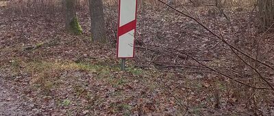 Tama Brodzka ↔ Brodnica, ul. Świerkowa