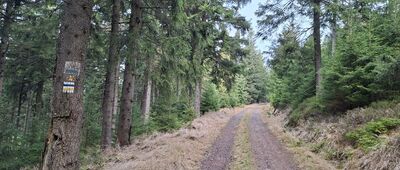 Dzikie Zbocze ↔ Czarny Rów