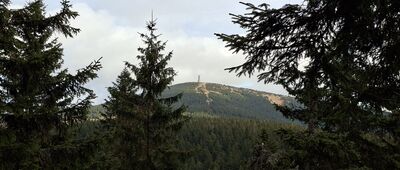 Pod Małym Śnieżnikiem ↔ Dzikie Zbocze