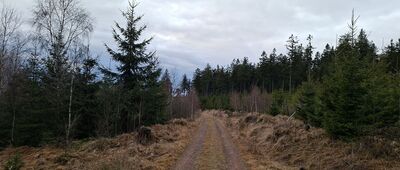 Przejście graniczne Jodłów / Horni Morava