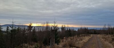 Pod Jasieniem, skrzyżowanie ↔ Przejście graniczne Jodłów / Horni Morava