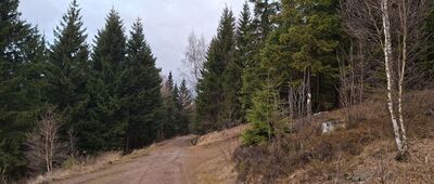 Pod Jasieniem, skrzyżowanie