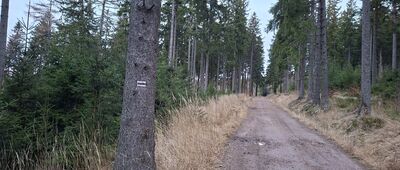 Pod Jasieniem, skrzyżowanie ↔ Rozdroże pod Kamiennym Garbem