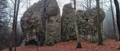 Rozejście szlaków ↔ Rozejście szlaków