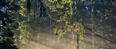 Hala Boracza ↔ Polana Cukiernica