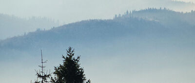 Hala Redykalna ↔ Pod Lipowskim Wierchem