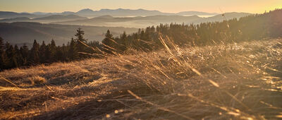 Schronisko PTTK Na Rysiance