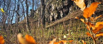 Pod Rogowcem ↔ Skalna Brama