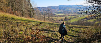 Grzmiąca, ul. Wiejska ↔ Pod Rogowcem
