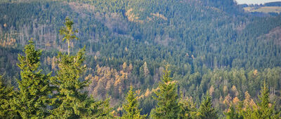 Ruprechtický Špičák