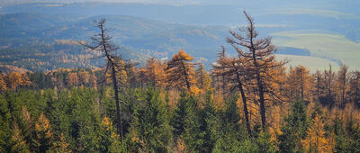 Ruprechtický Špičák