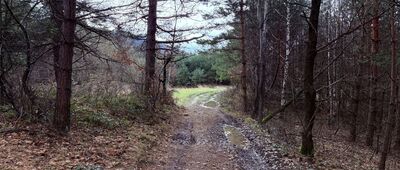 Kaczyna, Za wodą ↔ Rozejście szlaków