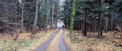 Przełęcz Panienka ↔ Rozejście szlaków