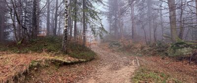 Przełęcz Kocierska