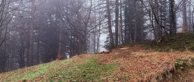 Przełęcz Kocierska