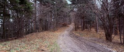 Przełęcz Czesława Panczakiewicza