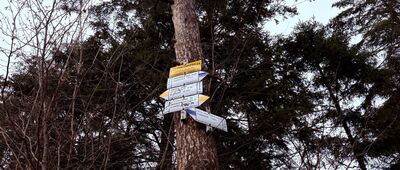 Przełęcz Czesława Panczakiewicza