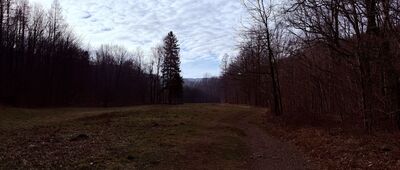 Bielsko-Biała, Dolina Wapienicy ↔ Jezioro w dolinie Wapienicy