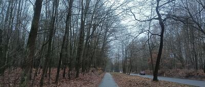 Panewniki, staw nr 4 ↔ Panewniki, ul. Gościnna