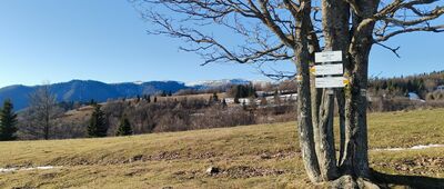 Sedlo Ploskej ↔ Vyšná Revúca