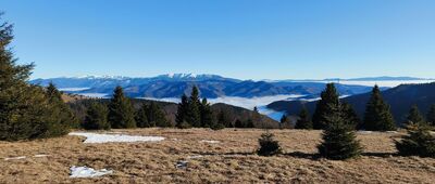 Koniarky ↔ Chyžky