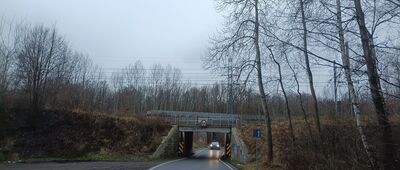 Radoszowy, las ↔ Panewniki, staw nr 4