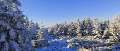 Łącznik ↔ Stóg Izerski