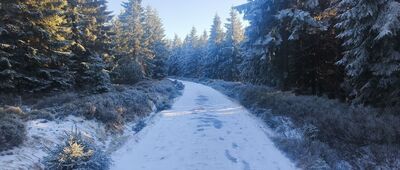 Polana Izerska, wiata ↔ Odejście Białej Drogi