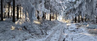 Pod Hutniczą Kopą ↔ Masarykova chata, rozc.